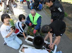 ５月１４日②　人権の花運動で花を植えました。 - 