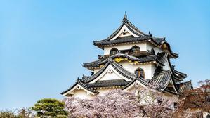 What is japan castles and how to change in 2024 - 