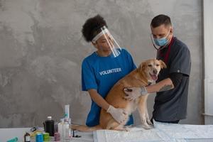  The Effect of Treatment Canines in Medical clinics Schools and Then some - 
