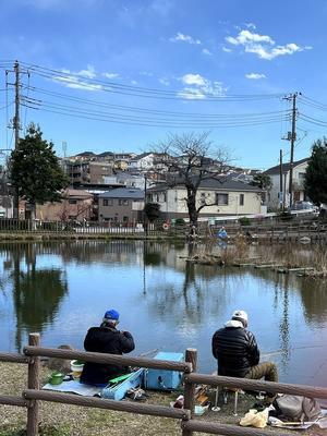 ある風景：Shirahata pond, Yokohama@Apr.2024 #2 - 
