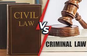 民法と刑法の基本的な違いは何ですか? - 
