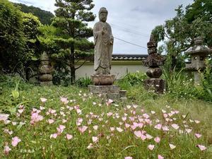 神社仏閣詣り - 俳句&写真ブログ