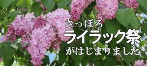 俺の札幌散歩（大通公園ライラック祭り・三吉神社祭） - 写真で見るSYOのウォーキング日誌