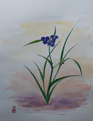 水彩画　庭の花 - 草刈真っ青の水彩画