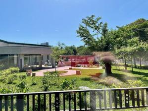 「ヘレンドのディナー食器セット」が圧巻の「大使館の美術展」も同時開催！@東京富士美術館。 - Welcome to Koro's Garden！