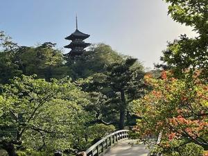 桜咲く日本へ出会いの旅＿15＿長年の念願が叶った日 - 