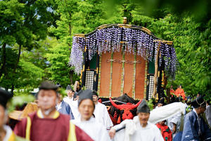 葵祭　１ - Deep Season　