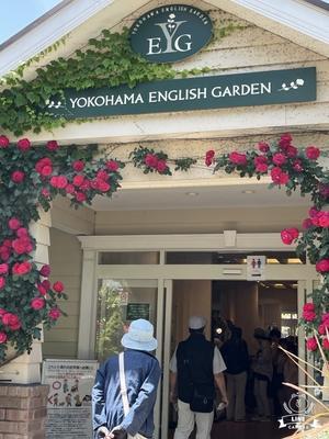 横浜にバラを見に行ってきました - おさぼり Blog