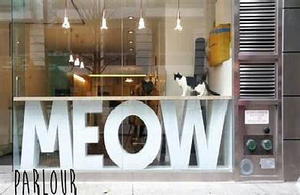 ねこ カフェ CATS-Cafe by NYC. - 居眠り半睡の「とほほ」な生活～^^！