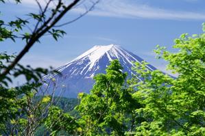 笹子雁ヶ腹摺山から望む富士山 - 自然と仲良くなれたらいいな３