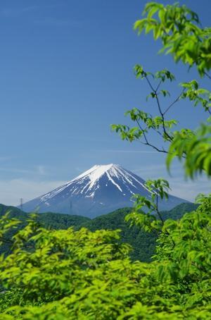 笹子雁ヶ腹摺山から望む富士山 - 