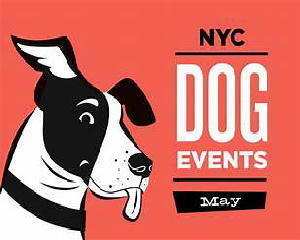 NYC DOG EVENTS MAY - 居眠り半睡の「とほほ」な生活～^^！