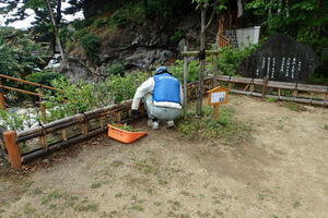 名勝和歌の浦　玉津島保存会