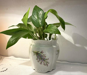 壁掛け式花柄鉢カバー - スペイン・バルセロナ・アンティーク　gyu's shop