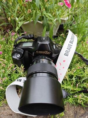 フィルムカメラを使って　Canon　T90の巻　１ - おしゃん歩カメラ