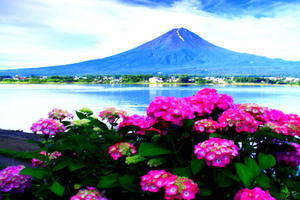 富士への散歩道　～撮影記～