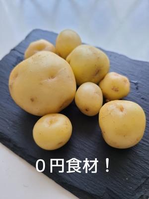 食品ロス削減料理研究家ブログ行長万里 　日本全国　美味しい話