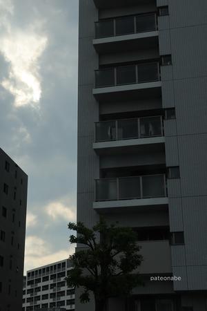 中高層マンションはシンプルなタイル張り 146 「建築写真」 - 足立・葛飾区の下町散歩＋「建築写真」
