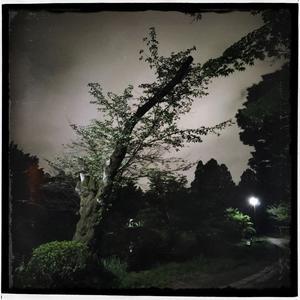 夜の湿度 - Past Light