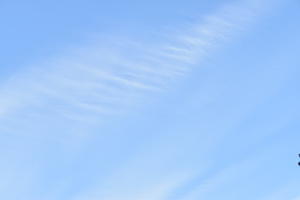 雲がきれいな空とイソヒヨドリの後ろ姿… - hikarino hitokakera  (ひかりのひとかけら)