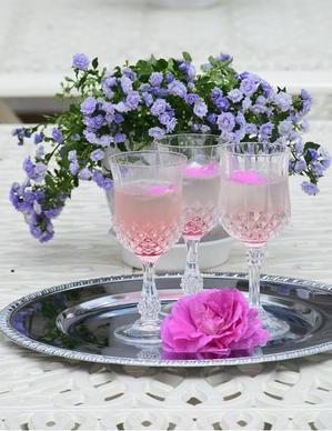 今年（２０２４年）のバラ季節のTea Partyを振り返ってDay2. - バラとハーブのある暮らし　Salon de Roses