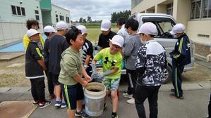 ５月２１日　バケツ稲作り - 笑顔輝く 六郷小学校ブログ