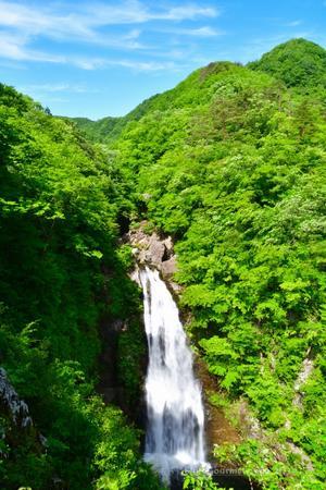 ◆ 奥州三名湯を目指して その9「秋保大滝」へ（2024年5月） - 空とグルメと温泉と