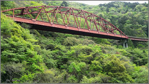 山あいのアーチ橋（空撮） - 野鳥の素顔　＜野鳥と日々の出来事＞