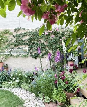 ◆裏庭のバラたち - Soleilの庭あそび・・・布あそび♪