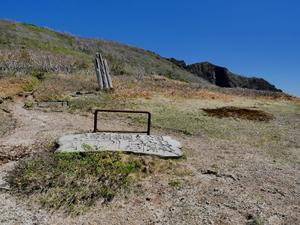 シラネアオイが咲き出したオロフレ山、2024.5.18 - デジカメ持って野に山に