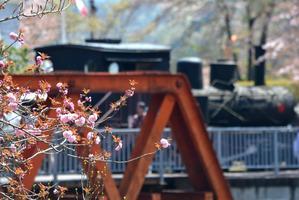 4丁目 橋と汽車と春の花 - 明治村が大好きな、とある村民のブログ