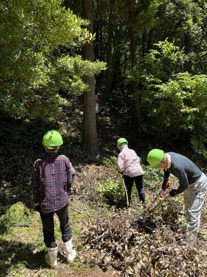 Takarabako Forest Maintenance  - 