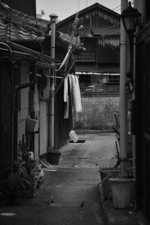 岩屋散歩 - Life with Leica