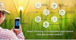 Harvesting Hope: Unraveling the Promise of Climate-Smart Agriculture - 