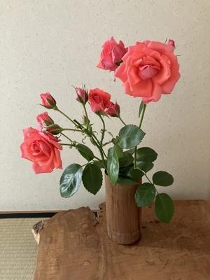 茶花に薔薇を、茶菓子にタルトを - 花の自由旋律