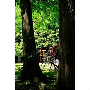 新緑の公園 - Higemasa's Photo Gallery