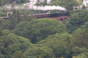 新緑に囲まれる鉄橋に白い蒸気　- 2024年春・秩父鉄道 - - ねこの撮った汽車