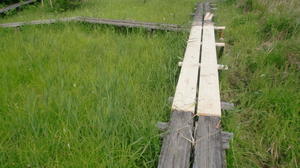 阿久比の里　板山長根湿地の木道修理を始める - 