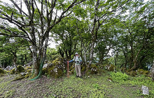 滋賀県の多賀神社の近くの「鍋尻山:838m」に登って来ました。 - 太田 バンビの SCRAP BOOK