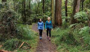 Mindful Hiking: Connecting with Nature through Walking - 