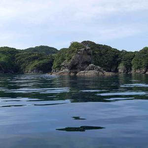 松島のかえる岩 - 故郷の島の独り言