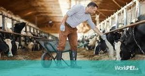 Dairy Farm labourer Jobs in Canada 2024 - 