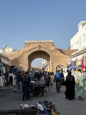 モロッコツアー　11日目　エッサウィラの1日 - ブルちゃんのログ