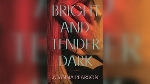 PDF Books Instant Download Bright and Tender Dark - 