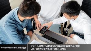Top Profitable Business Ideas for Aspiring Entrepreneurs - 