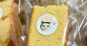 能登地震で被災した猫たちへのご支援をいただき、ありがとうございました！ - ちくわぶ料理研究家＆ごはんねこまる＆まるやま商店・丸山店長のブログ