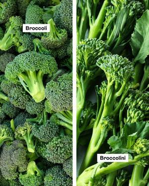 Chinese Broccoli: A Nutrient-Packed Green Delight - 