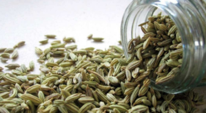 Sweet Fennel, Tiny Spice Rich Benefits - 