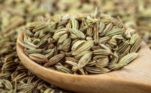 Sweet Fennel, Tiny Spice Rich Benefits - 