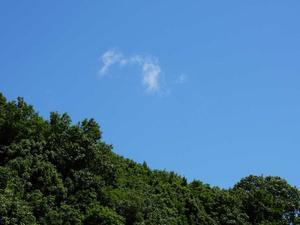 2024年05月30日、青空の下でデジブラスケッチ・・・ - 空と雲と季節折々のお話